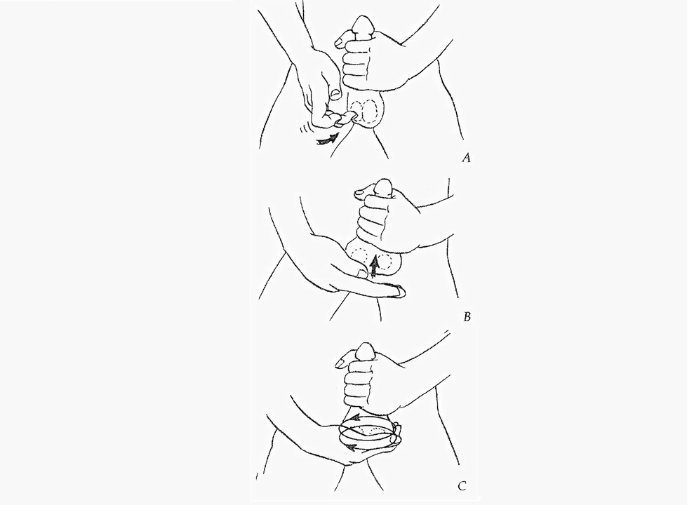 massage làm to dương vật